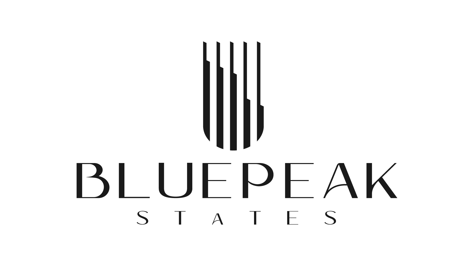 Bluepeak logo